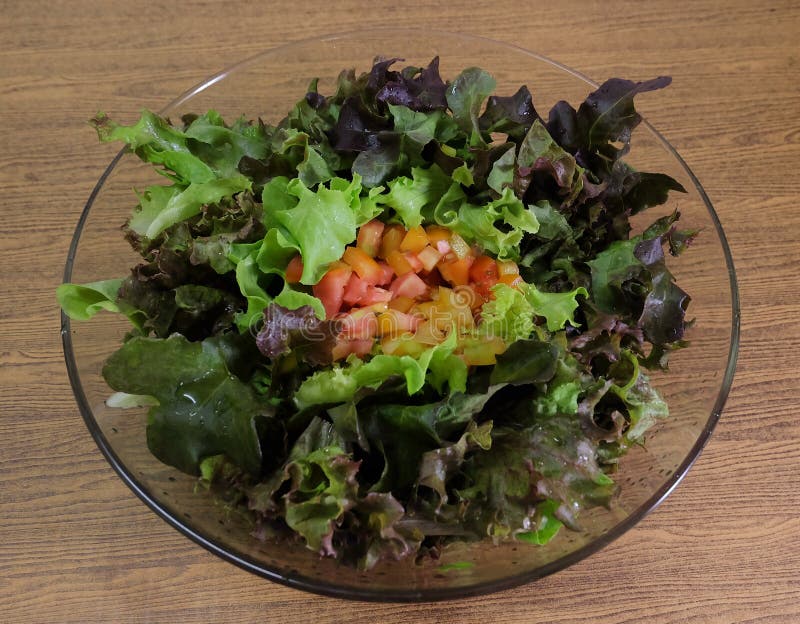 Roter Und Grüner Eichen-Blatt-Kopfsalat Mit Tomaten-Salat Stockfoto ...