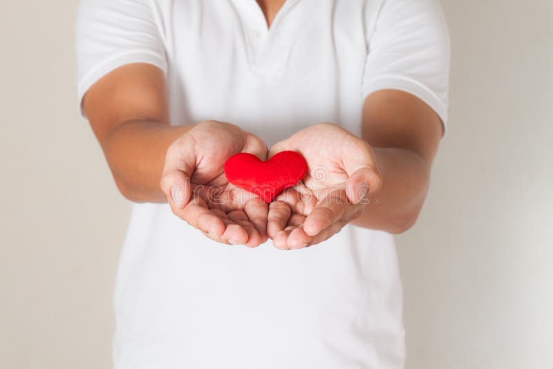 rotes Herz in den asiatischen Mannhänden, in der Gesundheitsmedizin und in Nächstenliebe concep stockbild rotes Herz in den asiatischen Mannhänden, in der Gesundheitsmedizin und in Nächstenliebe concep stockbild