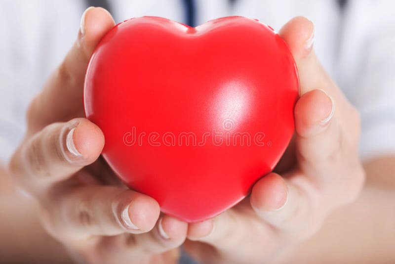 Rotes Herz gehalten von einer Ärztin. stockbild Rotes Herz gehalten von einer Ärztin. stockbild