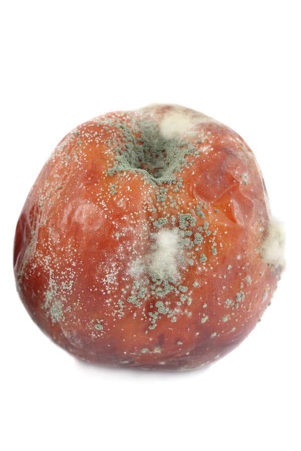 Rotten apple
