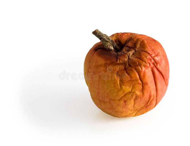 6,727 Rotten Apple Stock Photos - Free & Royalty-Free Stock Photos from  Dreamstime