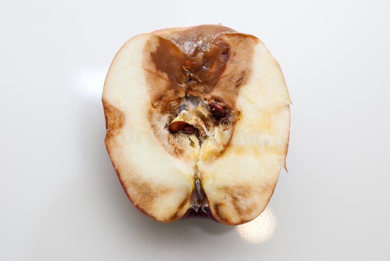 Rotten Apple with a Large Worm Stock Image - Image of oozing, overripe:  80511937