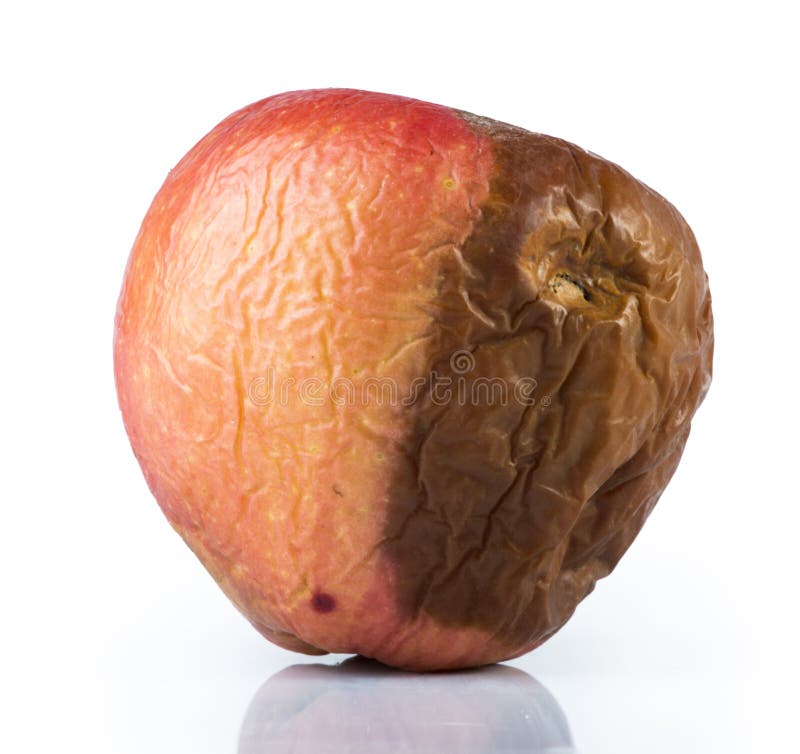 Rotten apple royalty free stock photos Rotten apple royalty free stock photos