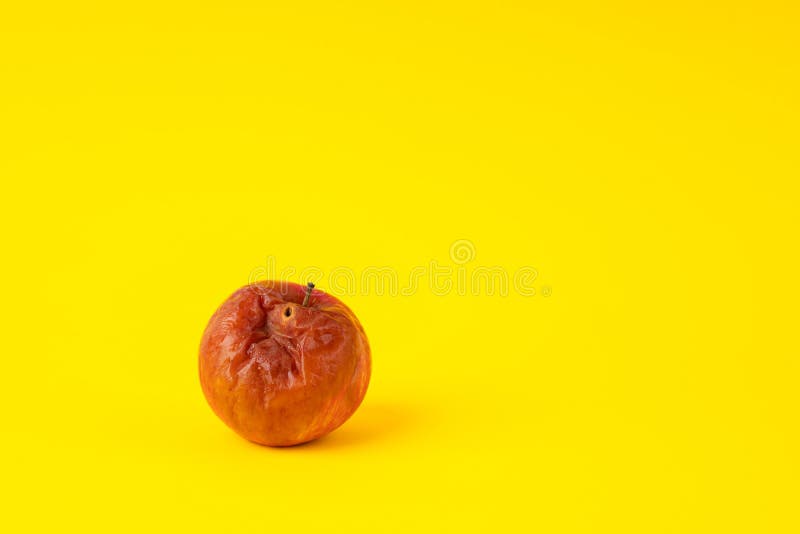 Rotten Apple with a Large Worm Stock Image - Image of oozing, overripe:  80511937