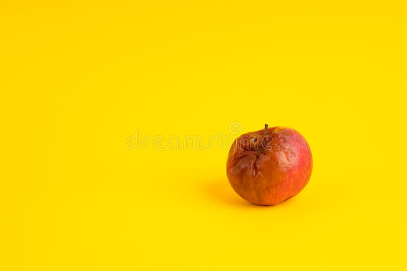 Rotten Apple with a Large Worm Stock Image - Image of oozing, overripe:  80511937