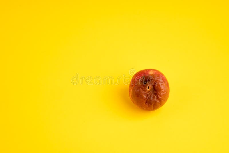 Rotten Apple with a Large Worm Stock Image - Image of oozing, overripe:  80511937