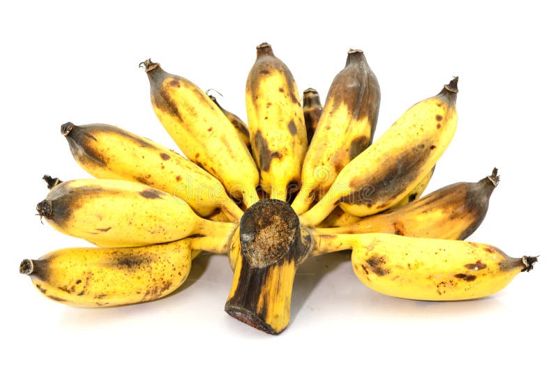 Rotten Banana Stock Photo Image 43785225