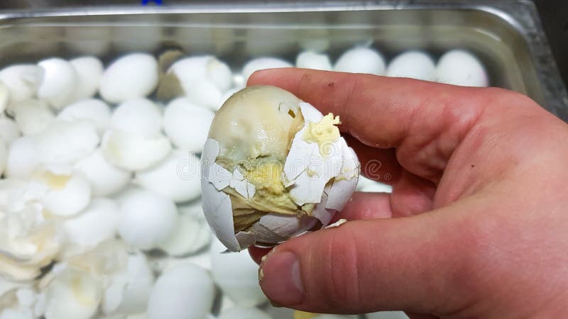 Rotten Egg Images – Browse 1,668 Stock Photos, Vectors, and Video