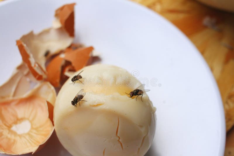 Rotten Egg in White Plate on Wood Background. Stock Image - Image of  chicken, detail: 64948625