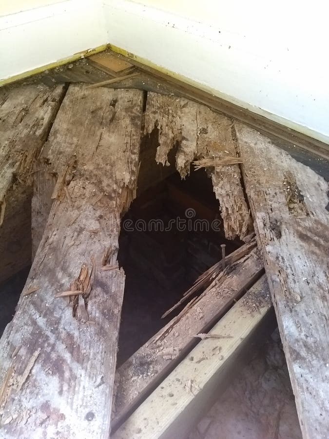 Rotten Floor Boards Stock Image Image Of Floor Repairs 152185933