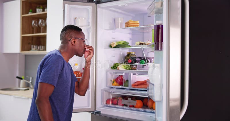 spoiled food in fridge