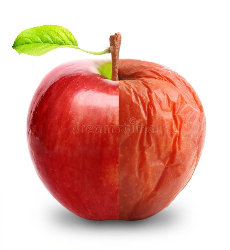 6,727 Rotten Apple Stock Photos - Free & Royalty-Free Stock Photos from  Dreamstime