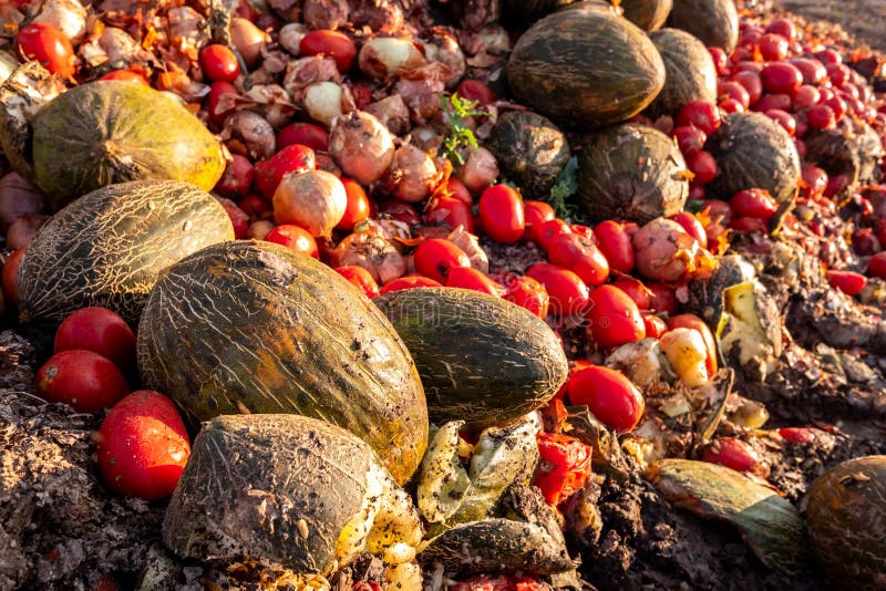 Rotting Fruit And Vegetables Stock Photo - Download Image Now - Rotting,  Food, Fruit - iStock