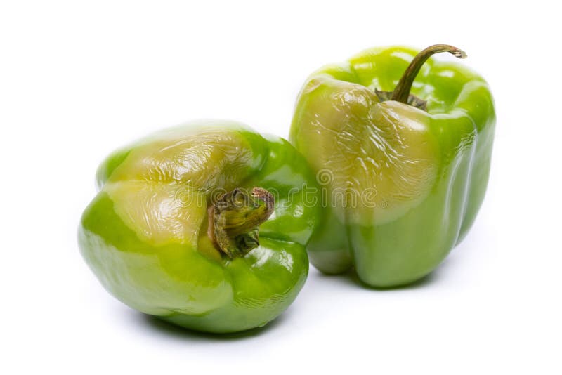 Rotten green bell pepper