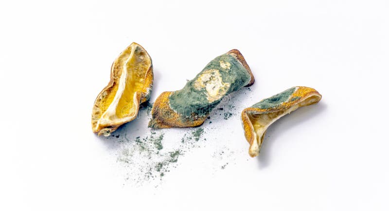 Rotten lemon  peels dried in mold. On a white background