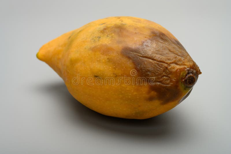 top view two pieces rotten mangos close up on a white background Stock  Photo - Alamy
