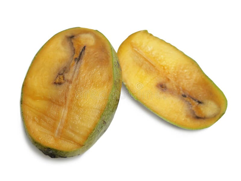 Rotten mango fruite isolated on a white background, Stock image