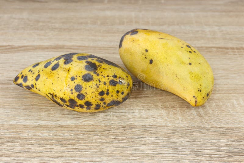 Mango Fruits Ripen And Rotten On A White Background Stock Photo - Download  Image Now - iStock