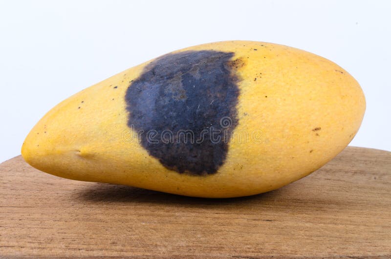 Yellow Rotten Mango Fruit Isolated on Wood Stock Image - Image of hanger,  isolated: 81459851