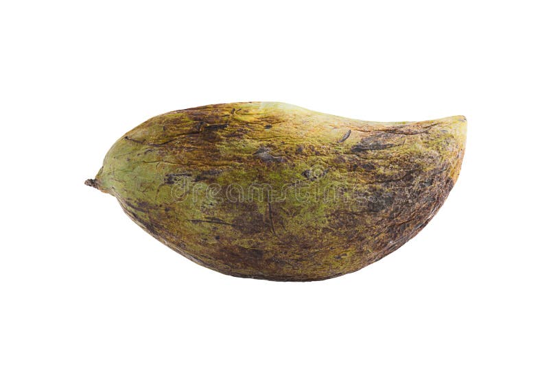 Rotten mango fruit isolated 22786613 PNG