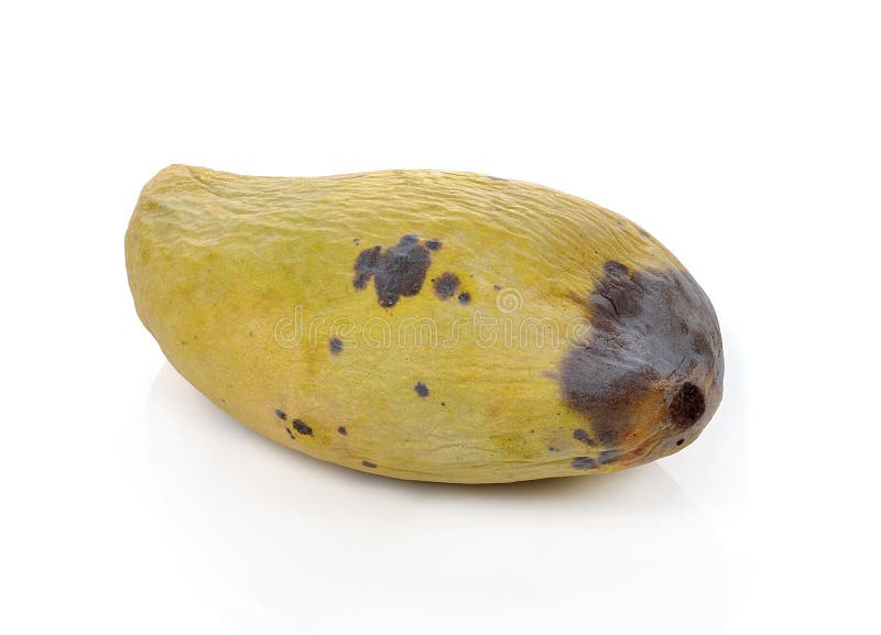 Rotten Mango Fruit Isolated On A White Stock Photo, Picture and Royalty  Free Image. Image 28898519.