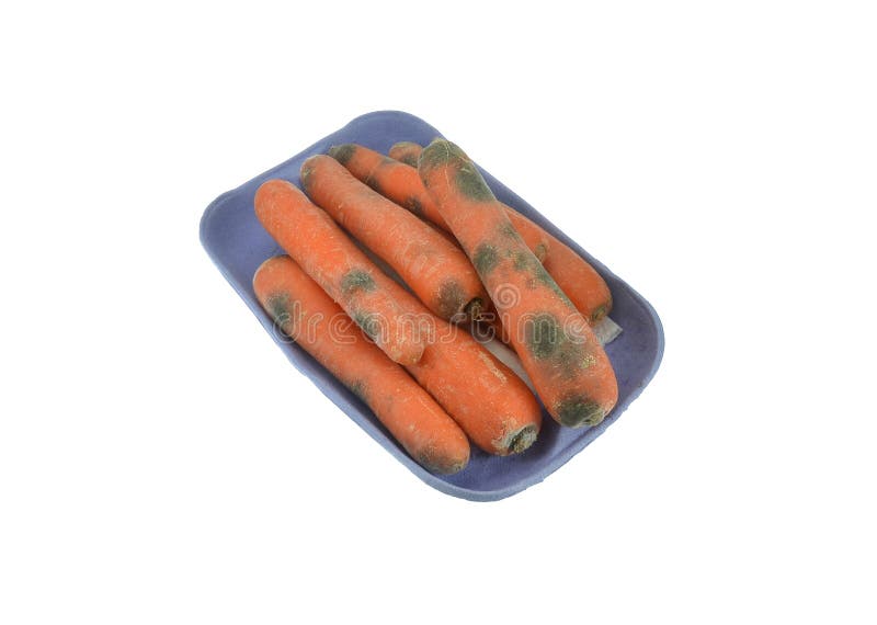 Rotten mouldy carrots