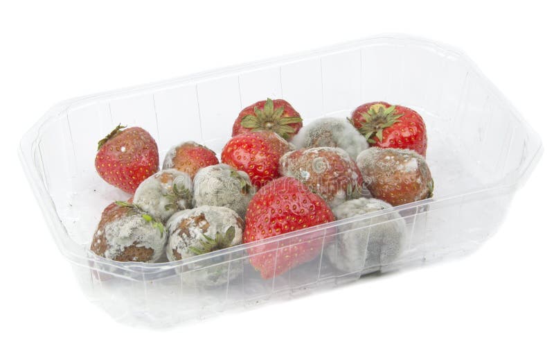 Rotten Mouldy Strawberries