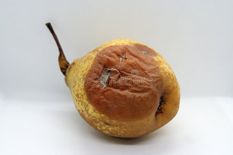 Rotten Pear. Rotten Fruit. Bad Fruit Stock Image Image of nutrition