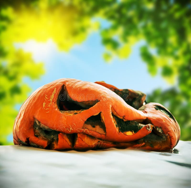 https://thumbs.dreamstime.com/b/rotten-pumpkin-jack-lantern-halloween-rotten-pumpkin-jack-lantern-halloween-background-nature-124429723.jpg