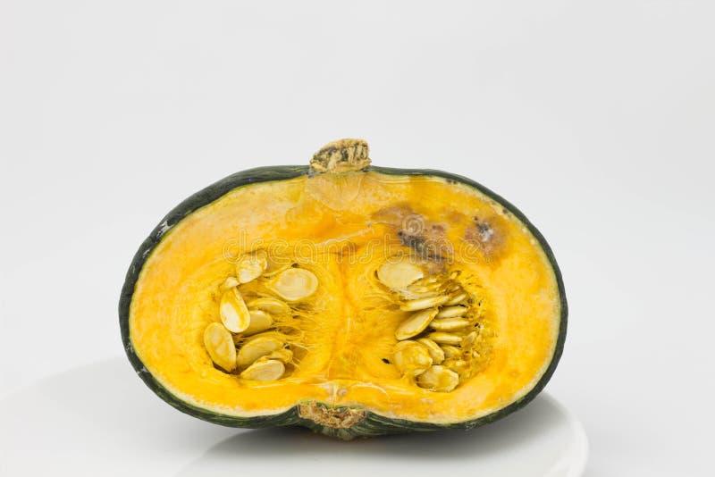 408 Rotten Squash Stock Photos Free & RoyaltyFree Stock Photos from