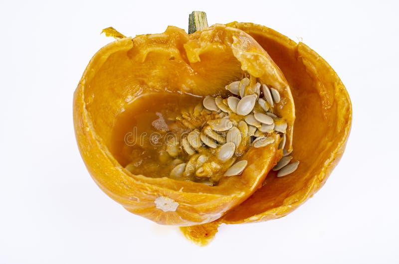 Rotten Spoiled Pumpkin with Seeds. Studio Photo. Stock Image Image of rotten, moldy 238772339