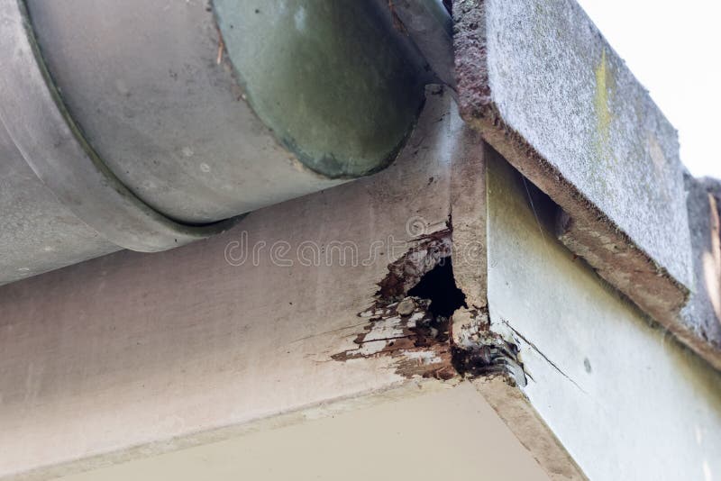 Rotten wood on top of house royalty free stock photography Rotten wood on top of house royalty free stock photography