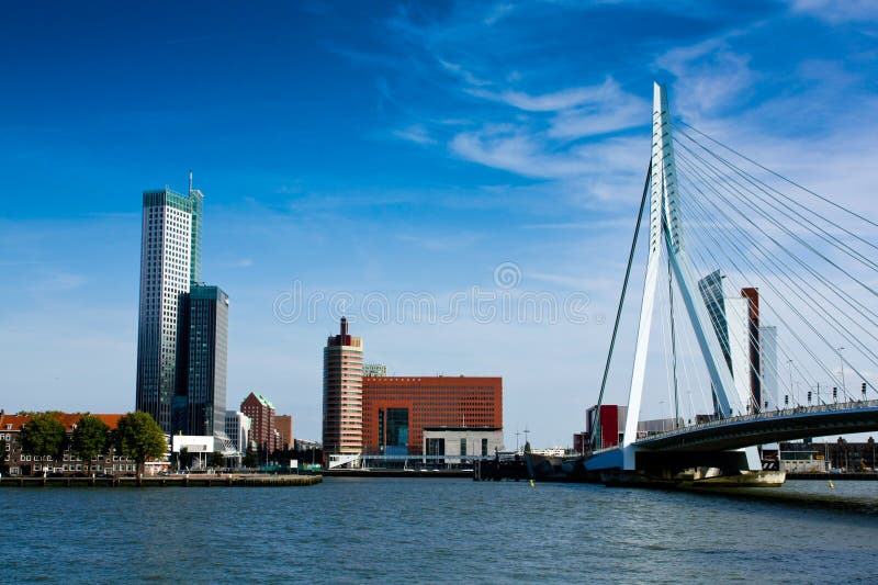 Rotterdam panorama with erasmus bridge stock photography