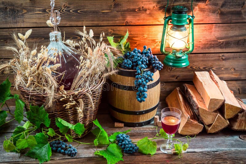 Rotwein von der Korbflasche gerade schmecken stockfoto Rotwein von der Korbflasche gerade schmecken stockfoto