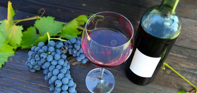 Rotwein, Weinfestival stockfotos Rotwein, Weinfestival stockfotos