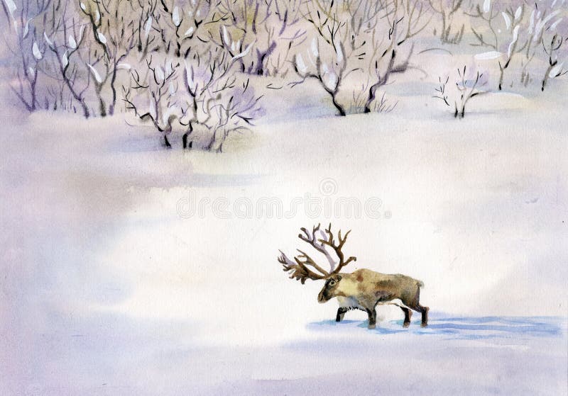 Beautiful deer in the snow in winter forest painted in watercolor. Beautiful deer in the snow in winter forest painted in watercolor