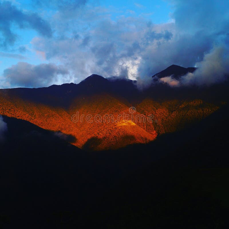 Rotwildsonnenuntergang lizenzfreie stockfotos Rotwildsonnenuntergang lizenzfreie stockfotos