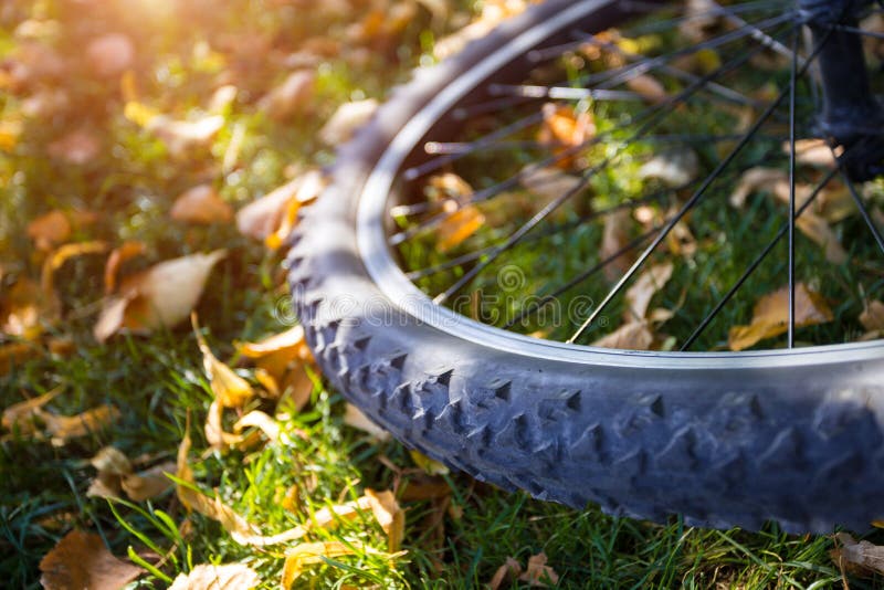 Roue sur une pelouse verte photos stock Roue sur une pelouse verte photos stock