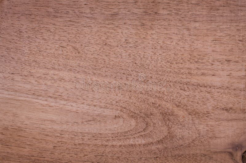 Rough Cut Black Walnut stock photo. Image of grain, macro 32410162