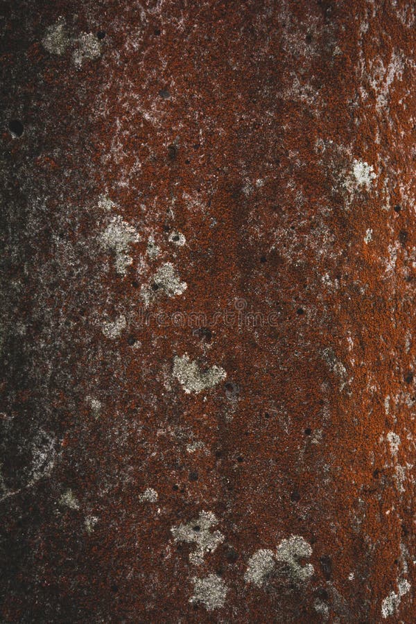 Rough red tree bark royalty free stock photography