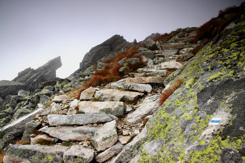 Rough stone stairs lead into the unknown on a slope in the fog