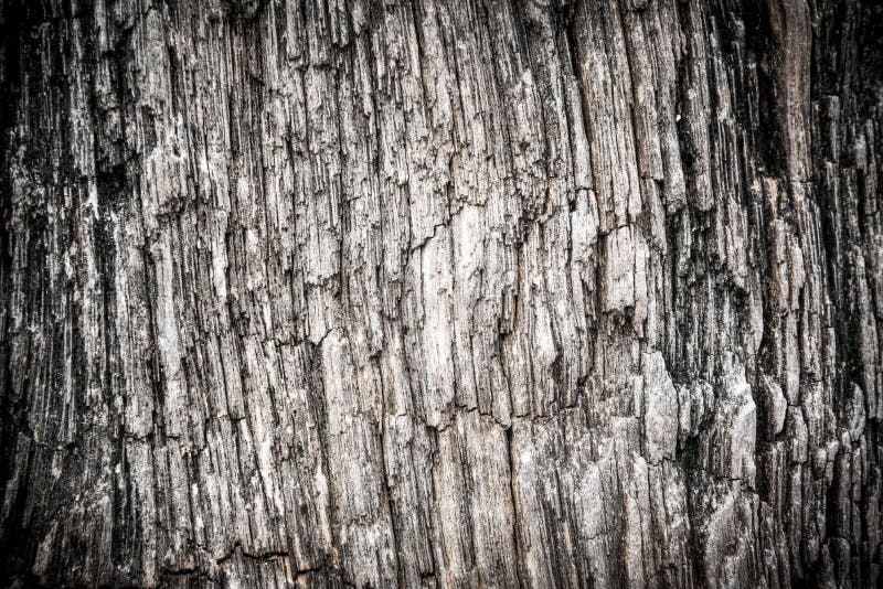 Rough stone surface abstract background