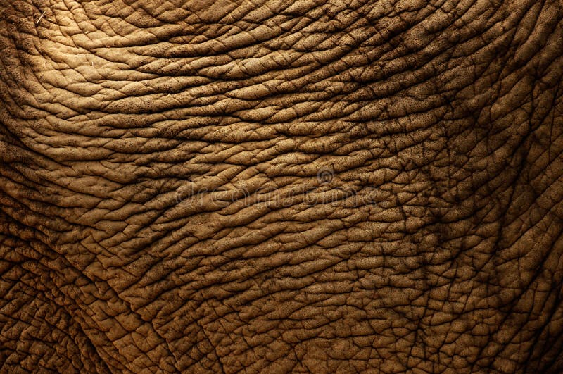 Rough texture background royalty free stock photo Rough texture background royalty free stock photo
