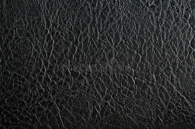Rough Texture of Black Animal Skin, Closeup Stock Image - Image of abstract, cloth: 176488809 Rough Texture of Black Animal Skin, Closeup Stock Image - Image of abstract, cloth: 176488809