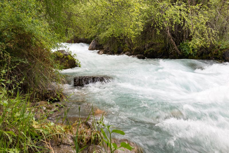 Rough Water in a Mountain River Stock Photo Image of wild, water