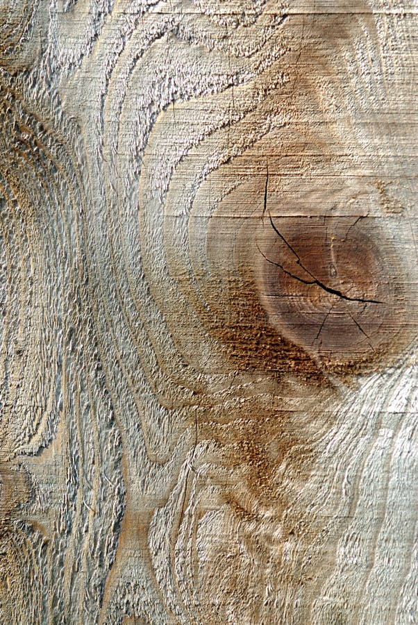 Rough Wood Grain