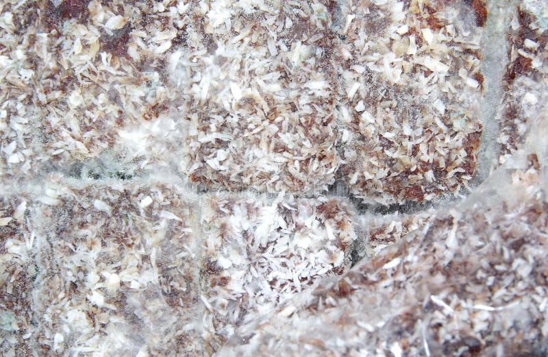Moisissure sur le gâteau images stock