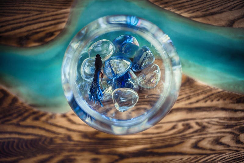 Giro acquario con blu di piccoli pesci da una tavola di legno con il vetro.