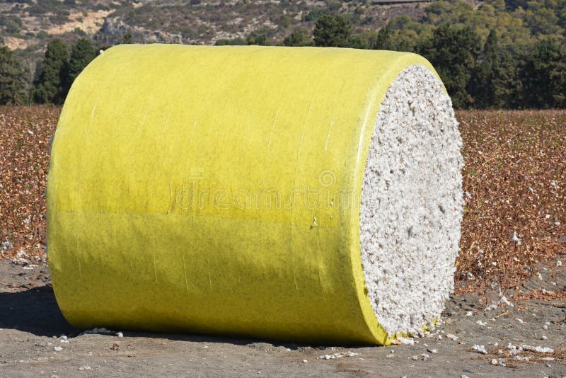 Round bale of cotton stock image. Image of pressed, round 79229947