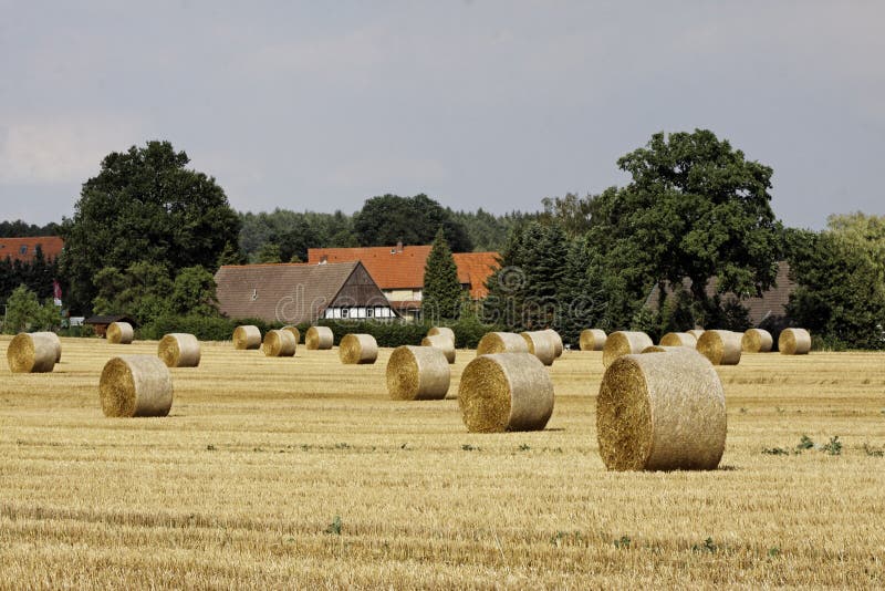 Round baler, straw bale in Lower Saxony, Germany